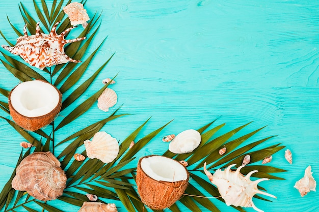 Planta de hojas cerca de cocos y conchas a bordo.