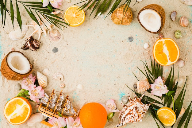 Planta de hojas cerca de frutas y flores con conchas marinas.