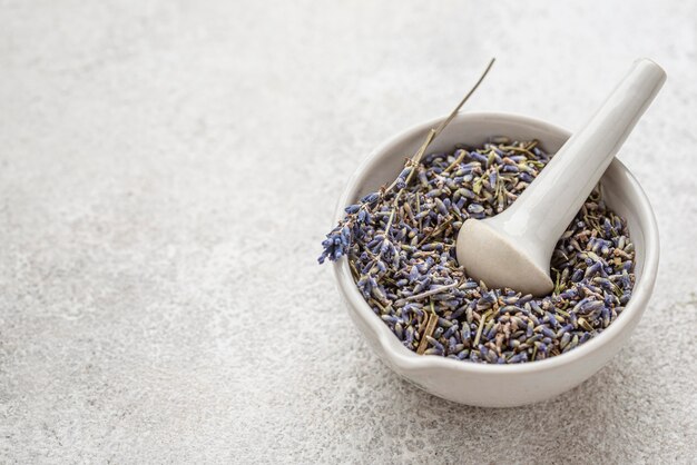 Planta de lavanda en un arreglo de cuenco con espacio de copia