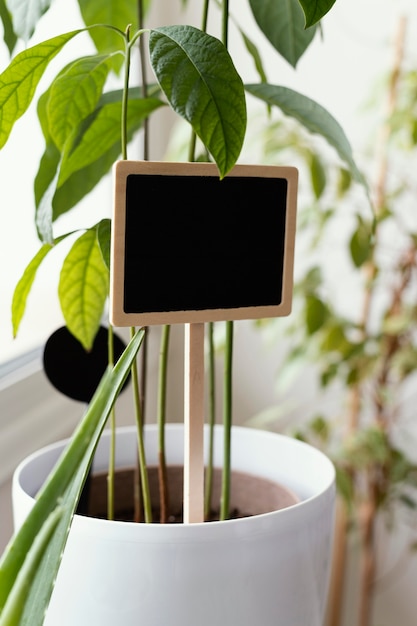 Planta en maceta con cartel en el interior