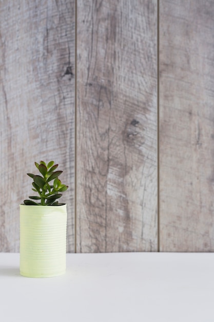 Planta en maceta en lata de aluminio pintada de amarillo en el escritorio blanco