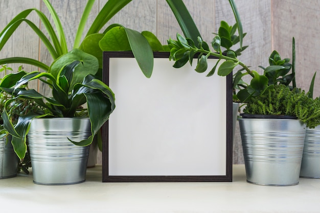 Planta en maceta de plata decorada con marco blanco.