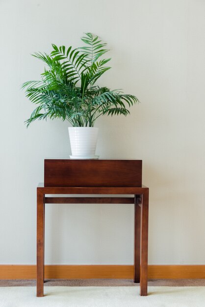 Planta de maceta verde en la mesa de madera clásica