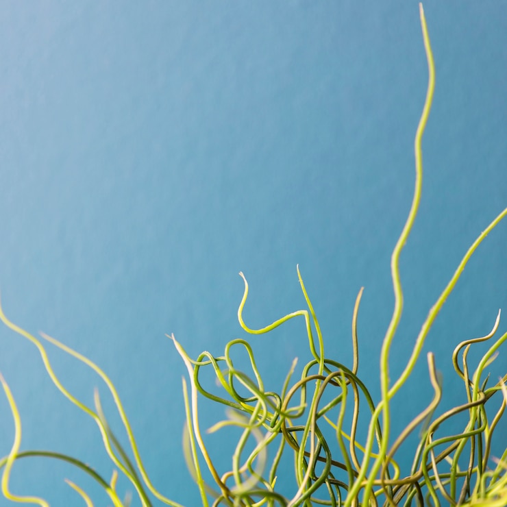 Foto gratuito planta de oficina