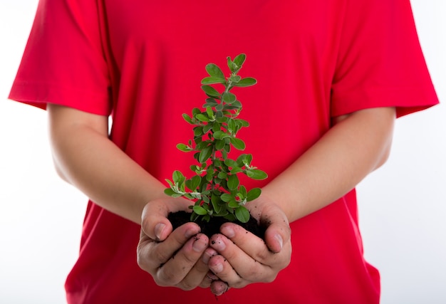 Planta pequeña con tierra en las manos