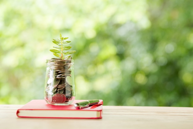 Foto gratuita planta que crece en monedas de ahorro