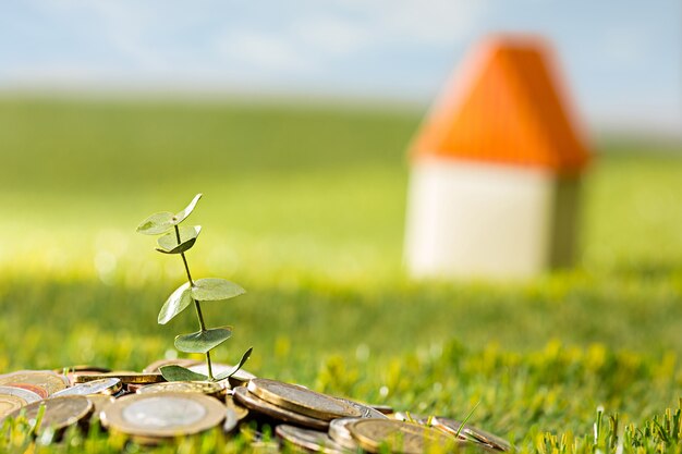 Planta que crece en monedas tarro de cristal por dinero en la hierba verde