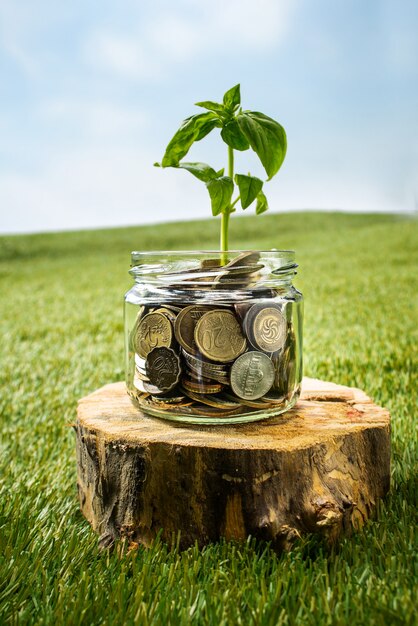 Planta que crece en tarro de cristal de monedas