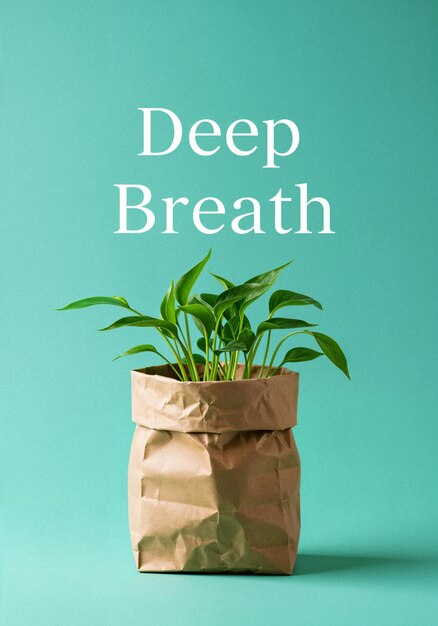 Planta de respiración profunda en una bolsa de papel