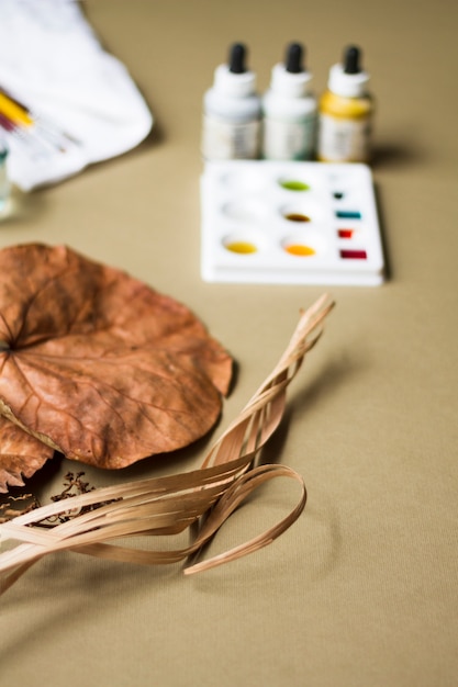 Planta seca con pintura de acuarela en el lugar de trabajo del artista