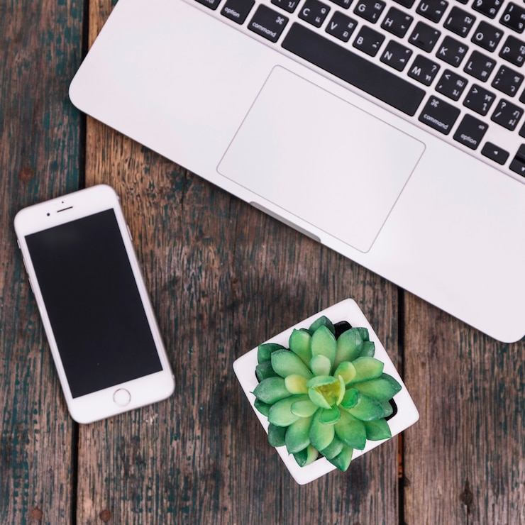 Foto gratuito planta y teléfono inteligente cerca de la computadora portátil
