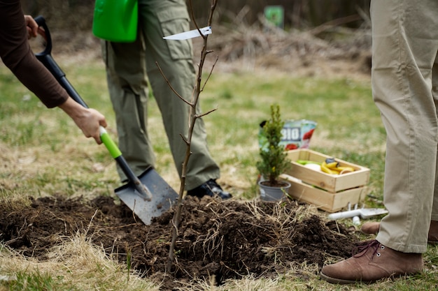 Plantación de árboles como parte del proceso de reforestación