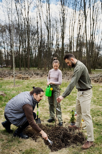 Plantación de árboles como parte del proceso de reforestación