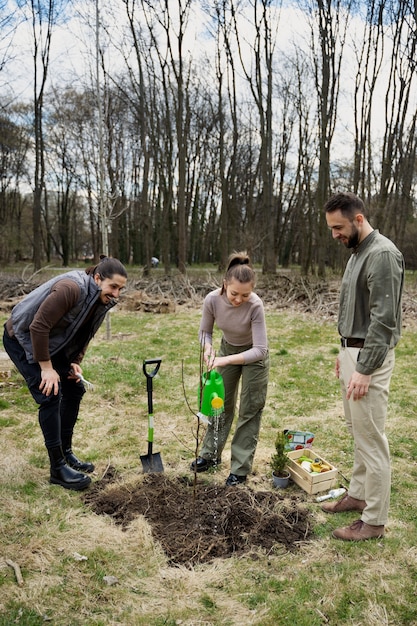 Foto gratuita plantación de árboles como parte del proceso de reforestación