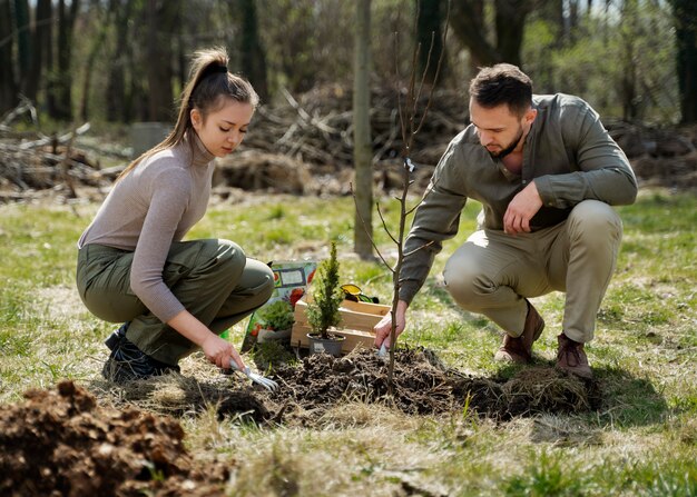 Plantación de árboles como parte del proceso de reforestación