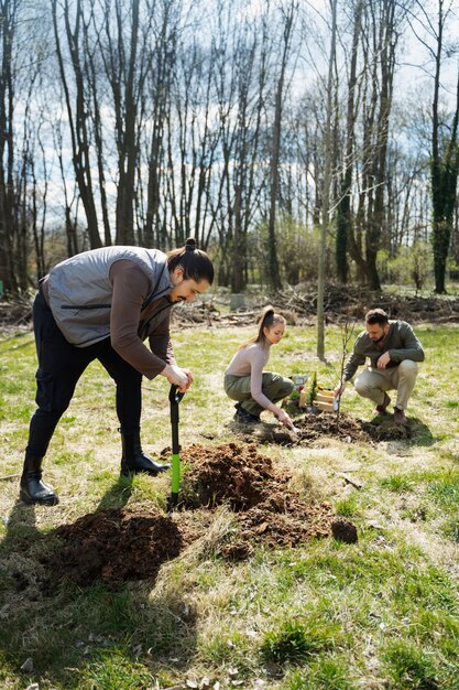 Plantación de árboles como parte del proceso de reforestación