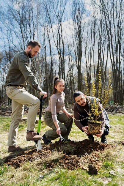 Plantación de árboles como parte del proceso de reforestación