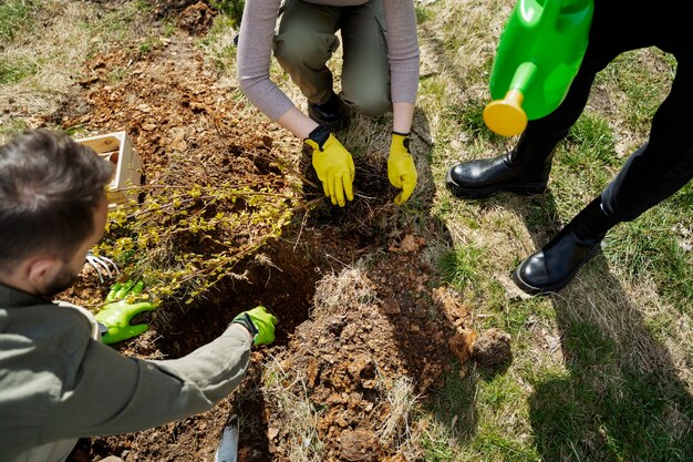 Plantación de árboles como parte del proceso de reforestación