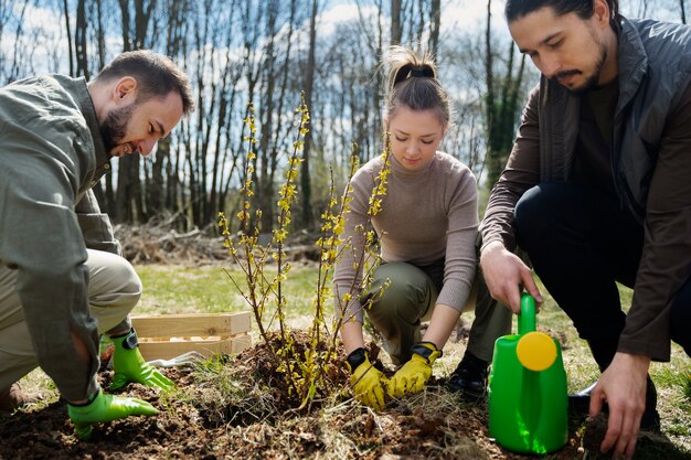 Plantación de árboles como parte del proceso de reforestación