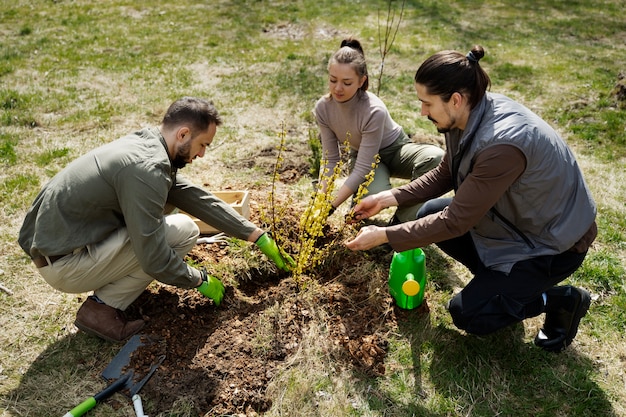 Plantación de árboles como parte del proceso de reforestación