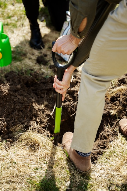 Foto gratuita plantación de árboles como parte del proceso de reforestación