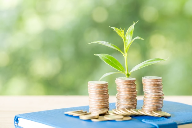 Plantar árboles en una pila de monedas con luz solar