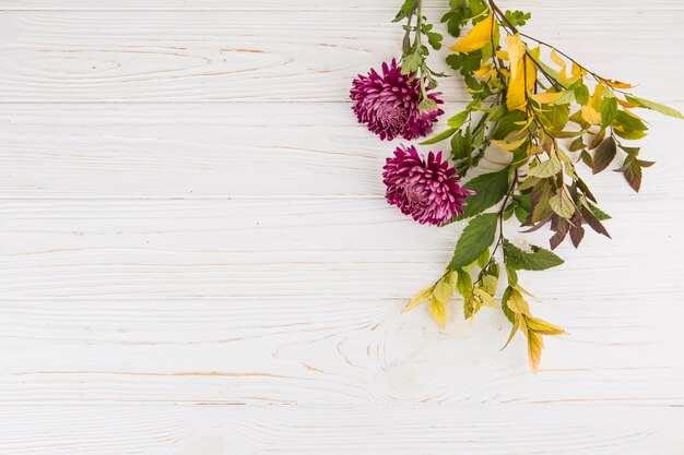 Plantar ramas con flores de color púrpura en la mesa