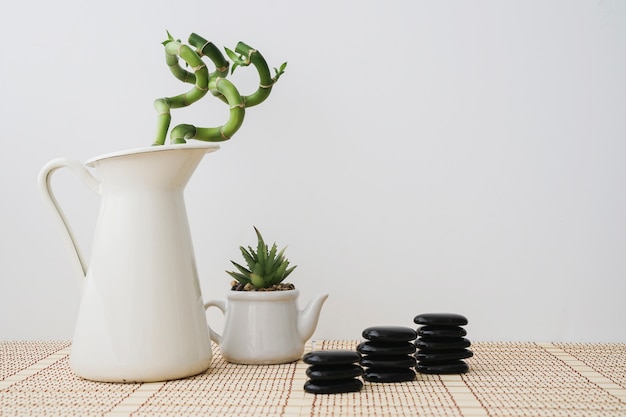 Plantas de bambú y pilas de piedras volcanicas