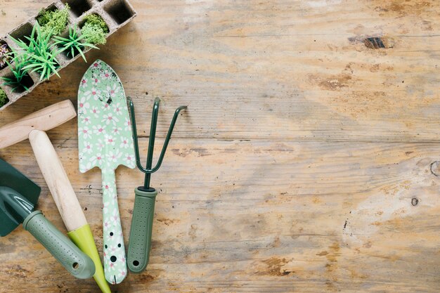 Plantas de bebé en bandeja de turba con herramientas de jardinería en escritorio de madera