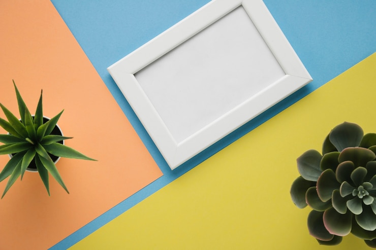 Foto gratuito plantas decorativas y marco minimalista blanco.