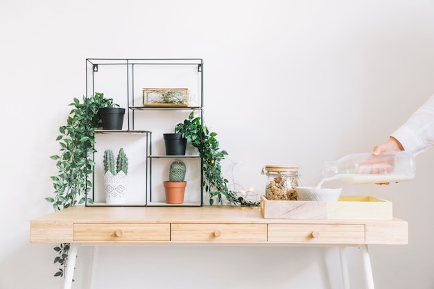 Foto gratuita plantas decorativas en mesa