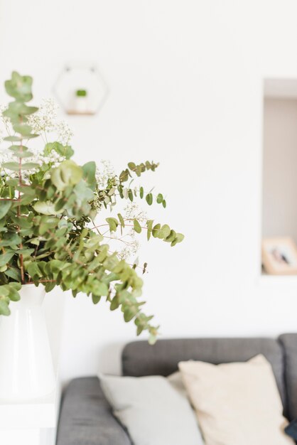 Plantas y flores decorativas en una casa