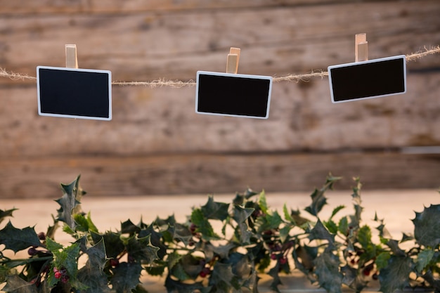 Foto gratuita plantas con fotos negras colgando de una cuerda