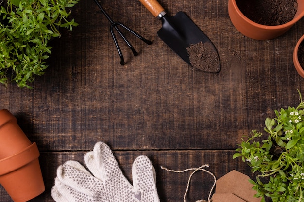 Plantas herramientas de jardinería cerrar marco