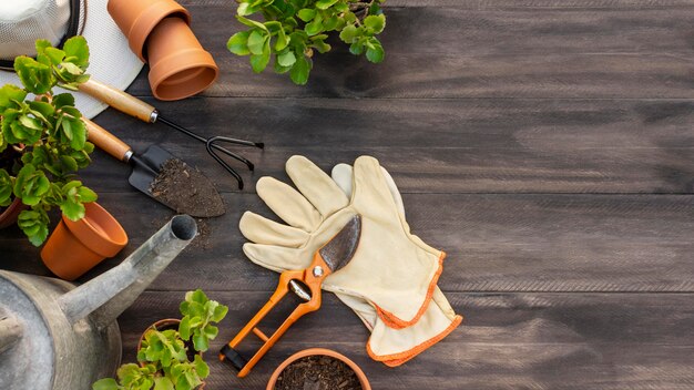 Plantas herramientas de jardinería cerrar