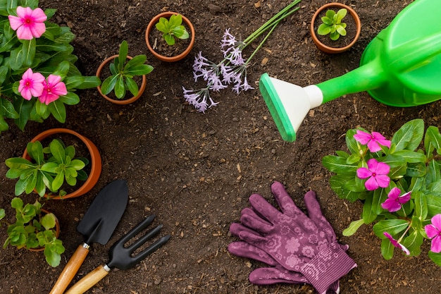 Plantas herramientas de jardinería cerrar