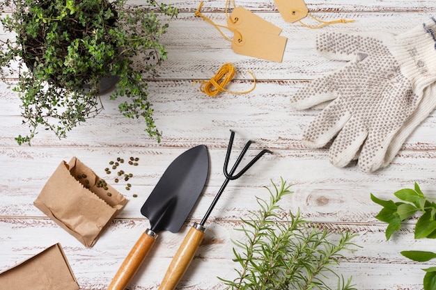 Plantas herramientas de jardinería cerrar