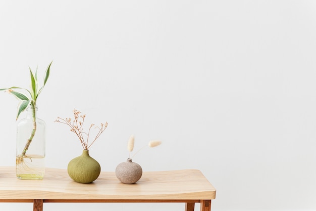 Plantas de interior en una mesa de madera