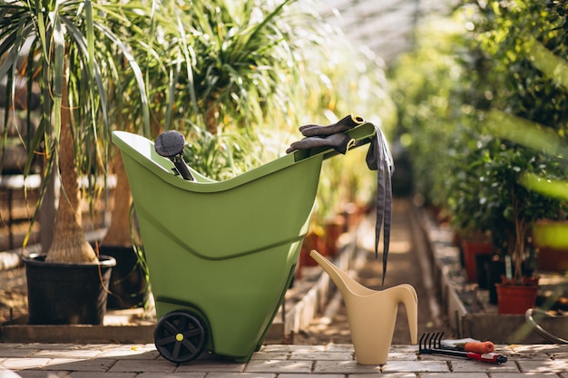 Plantas en invernadero con herramientas agrícolas.