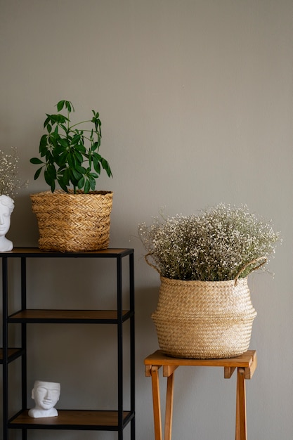 Plantas en maceta como decoración de habitación con estante y silla.