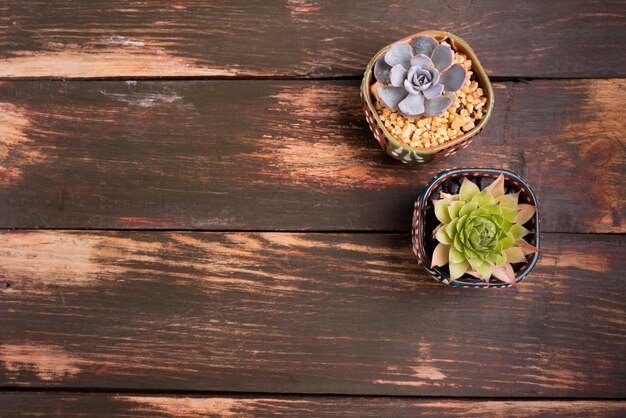 Plantas en mesa de madera con espacio de copia