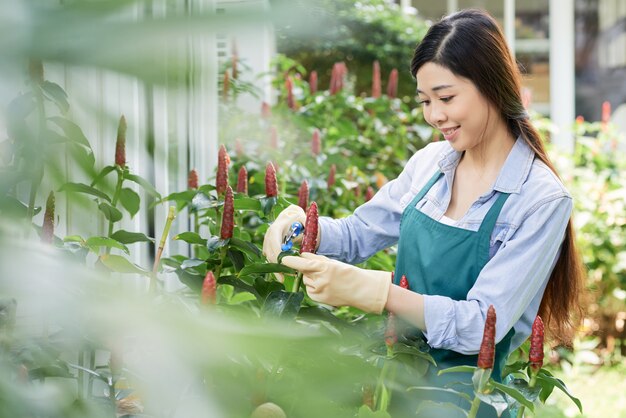 Plantas de poda de mujer