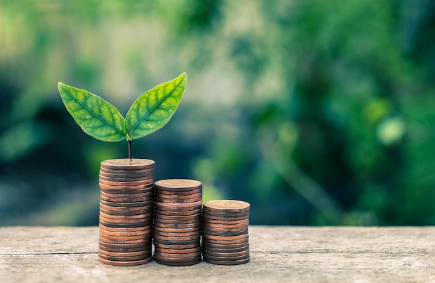 Las plantas de semillero están creciendo en la torre de monedas de dinero con el concepto de negocios y finanzas de fondo borroso de Bokeh