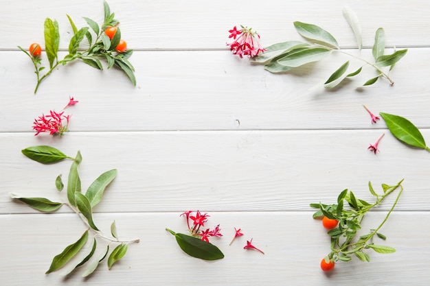 Plantas verdes brillantes en la mesa