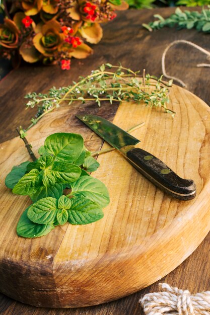 Plantas verdes y cuchillo en tabla de cortar