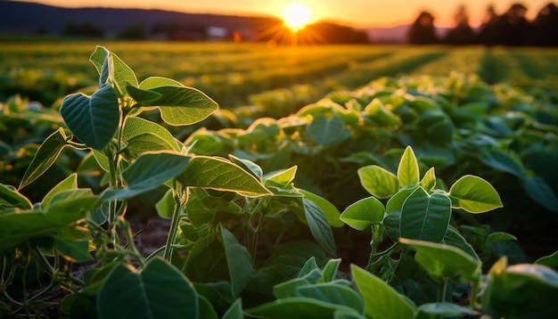 Foto gratuita plantas verdes frescas crecen en una naturaleza vibrante generada por la ia