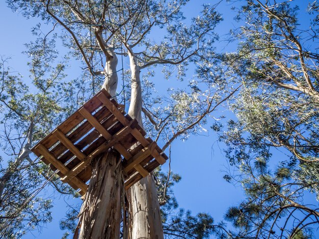 Plataforma de madera