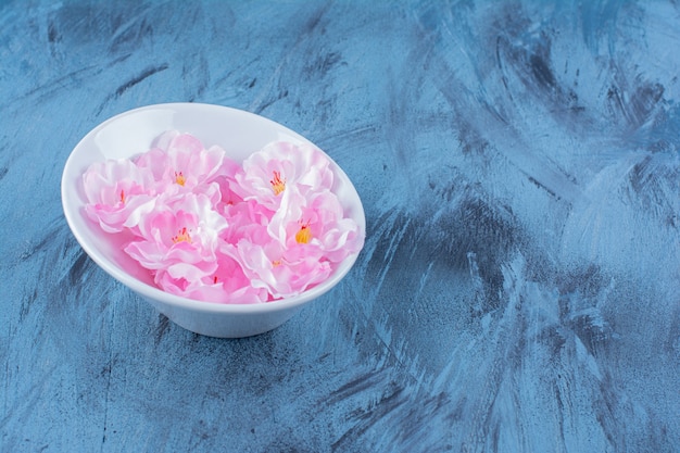Un plato blanco con pétalos de flores rosas sobre azul.