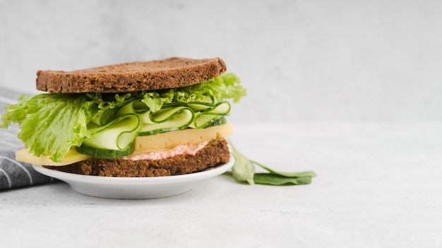 Plato con delicioso sándwich