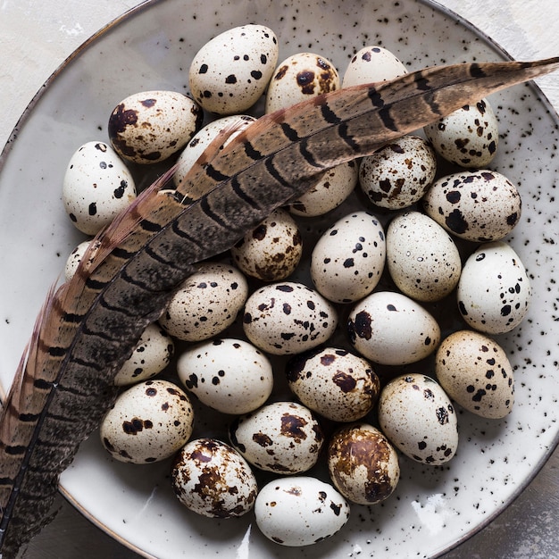 Foto gratuita plato de primer plano con huevos de codorniz